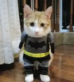  我要去拯救地球啦