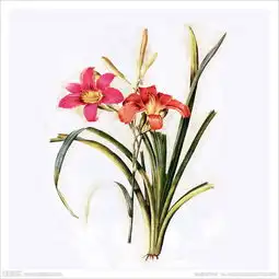  美克美家复古装饰画图片