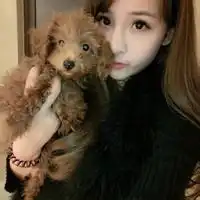  谁有这张头像的皮肤大图