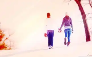  我想告诉那个傻男孩儿爱情是个什么鬼续