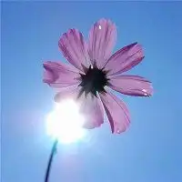  最火微信头像微信头像图片大全第8页潮人个性网