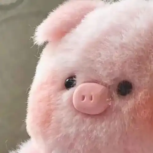  可爱猪猪头像,萌萌的猪猪朋友圈封面图