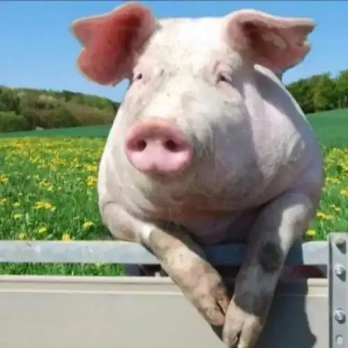  date0702搞怪头像