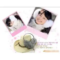  耳套狐狸批发耳套狐狸供应耳套狐狸厂家网络114