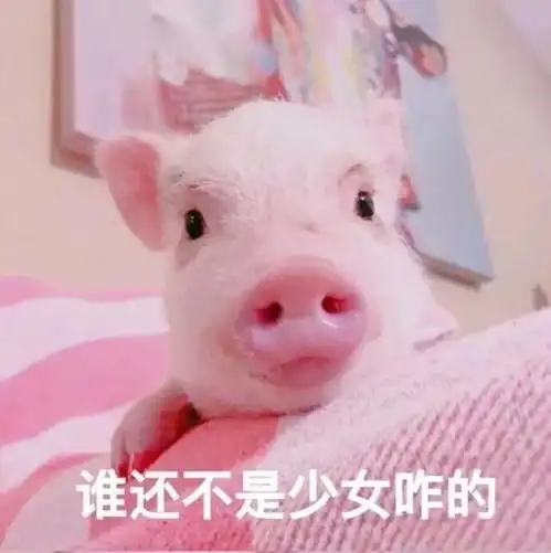  表情包你是不是外面有别的猪了