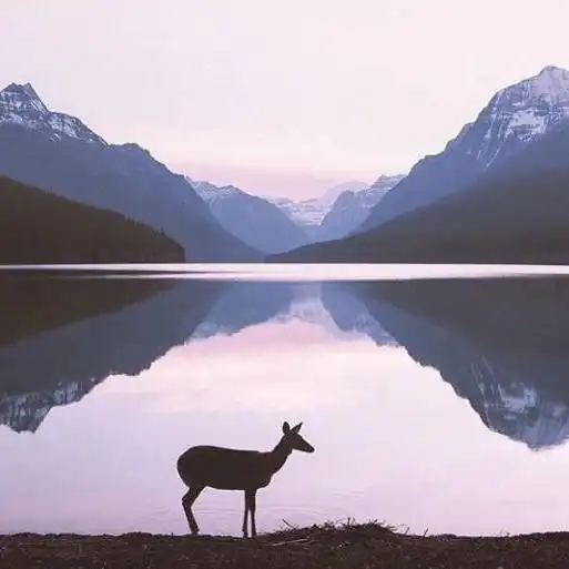  时时比较,经常焦虑,那么你什么时候可以快乐呢