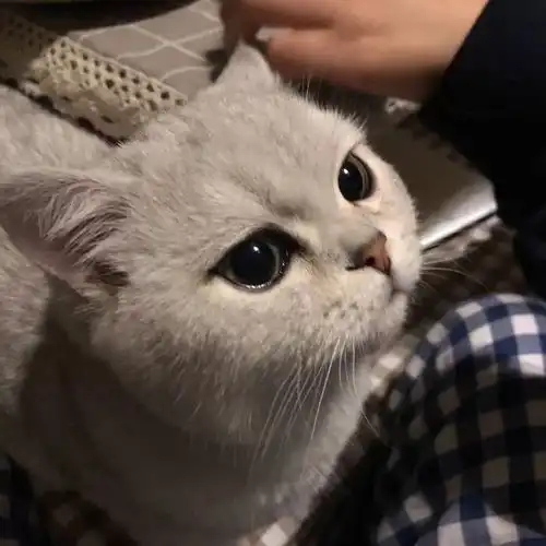  头像通往成功的路总是在施工中