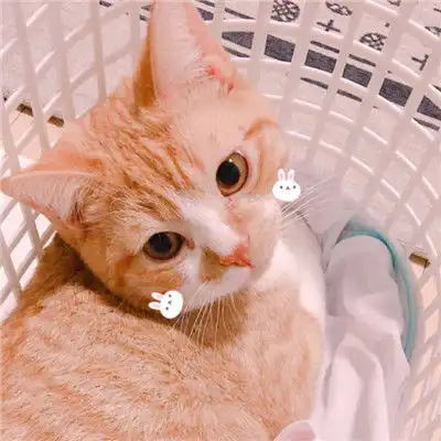  央媒曝光心理咨询乱象拿证只需几个月,收费动辄几千元