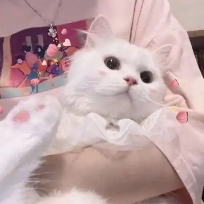 一眼就看上的闺蜜头像闺蜜网名