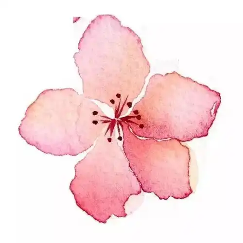  12月16日宾阳solo酒吧携手百威铝瓶打造全城最潮电音派对释放你的innershine