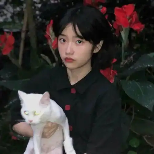  头像集我不再奔向你了