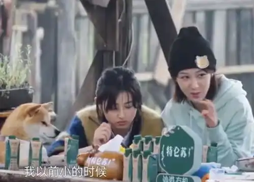  杨紫听到彭昱畅被叫彭于晏的表情,彭彭还应一声,真有趣