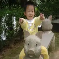  女孩骑猪情侣头像微信头像图片大全