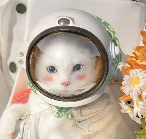  你的微信头像该换了