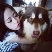  带哈士奇的情侣头像百度图片搜索