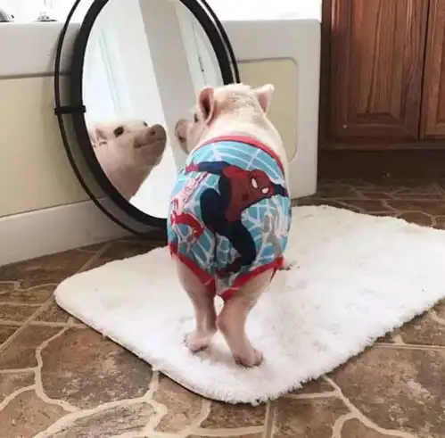  搞笑情头快喊你对像来看