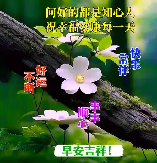  30张最新版早上好表情图片大全,幸福快乐,真情牵挂,珍惜永久早安思念大海钟声网易订阅