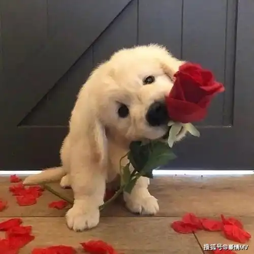  高清唯美朋友圈背景图片