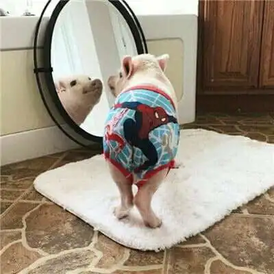  情侣头像搞笑逗比一对一对奇葩微信头像情侣专用