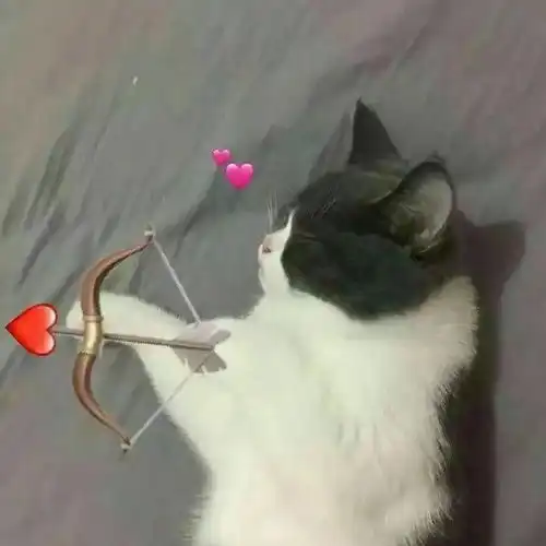  想和你一起用情侣头像