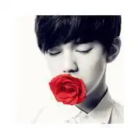  求这张图的情路头像