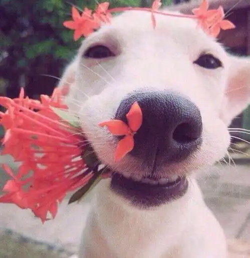  关于考普通话的那些事儿