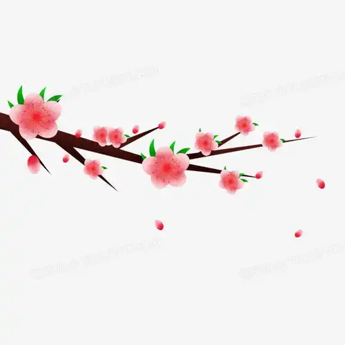  手绘插画粉色桃花png图片素材免费下载psd格式20002000像素熊猫办公