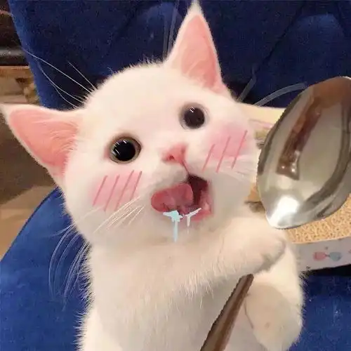  2021最新ios美国苹果appleid分享