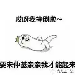  你猜双宋cp的婚礼会是啥样