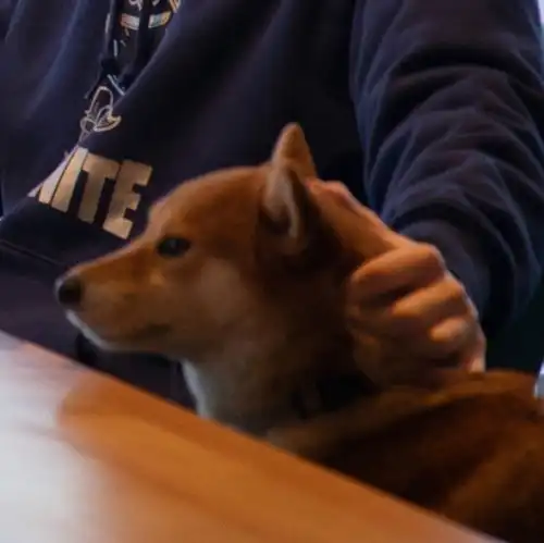  200213王俊凯系列情头合集甜甜蜜蜜好可爱