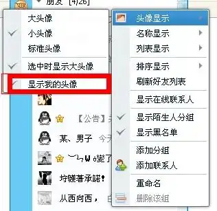  为什么好友栏不能显示自己的头像