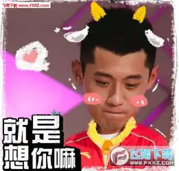  张继科萌宠版表情包高清版下载张继科萌宠版表情包高清版下载飞翔下载