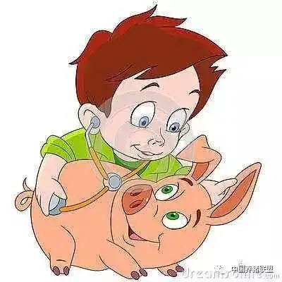  一份史上最全的养猪资料