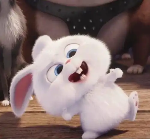  高分电影推荐帕丁顿熊等九部很欢乐的电影,你都看过了吗