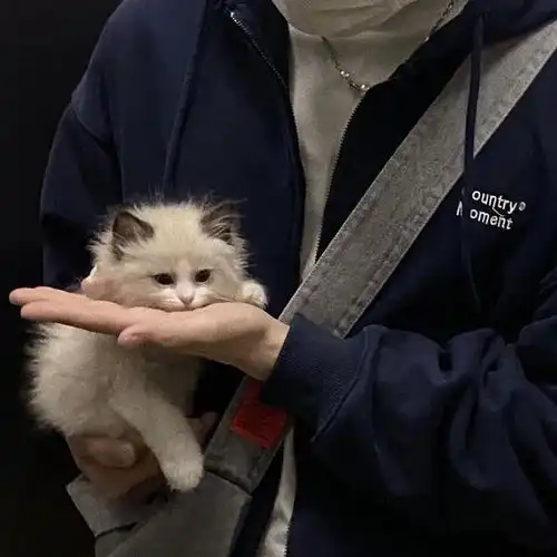  10张高级感微信头像,男生必备