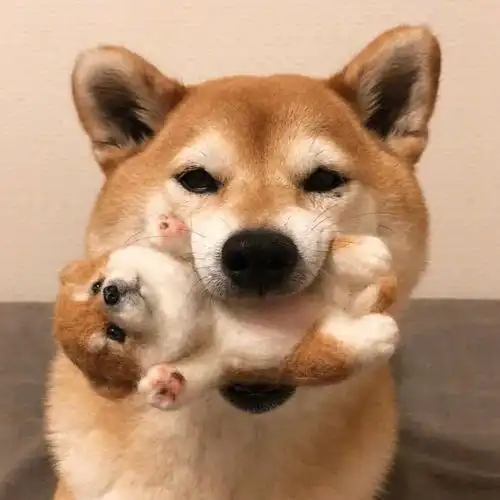  你的微信头像正在暴露你的性格