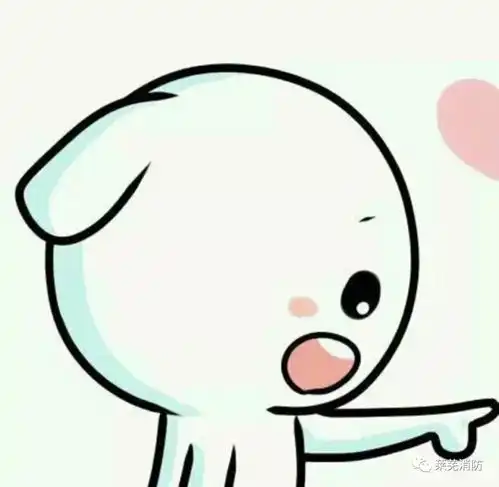  年底了莱芜消防送你一张,助你平安回家