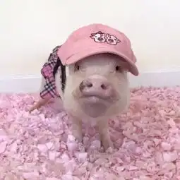  我想一直牵着你的手,不放开动漫频道