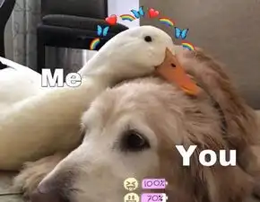  躲过班主任情侣头像火了,张张甜到爆炸,秀儿宣布小祖宗