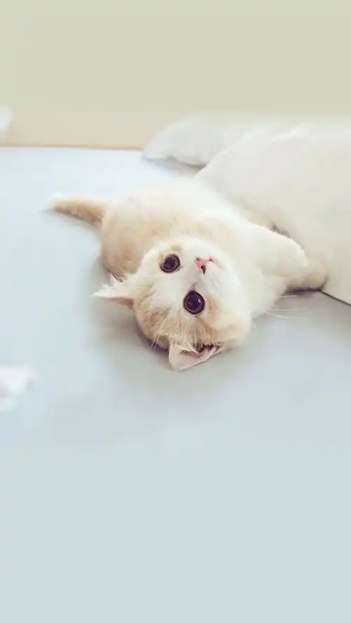  4月16号,运势大逆袭,桃花坐家中,非富即贵的生肖