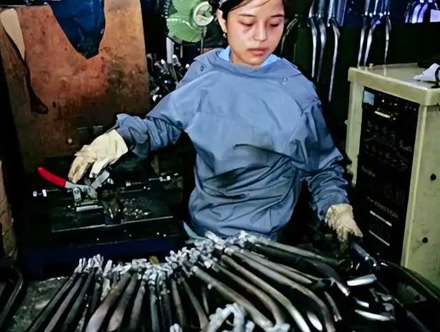 北京女子弑母案灌下水银用衣物捂住口鼻,亲眼看着母亲死去