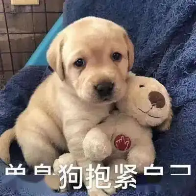  广西一对小情侣路边约会,结果.....七夕做这些事要注意,别违法