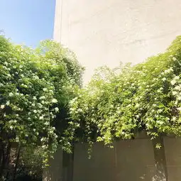  遇见,成都那些与美食相关的小美好,这里你都可以找到4天3夜小众玩法