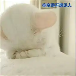  专治不开心,看完心情大好周末快乐