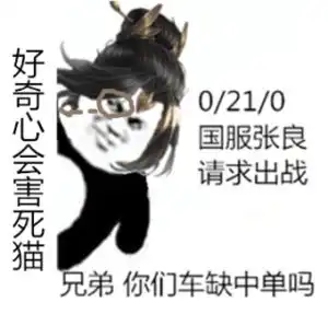  国服王者表情包