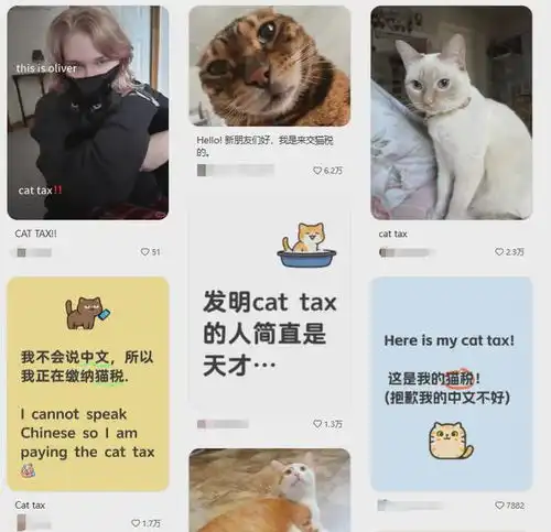  热话tiktok难民涌入小红书港人含量也超标