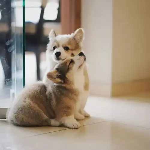  你的小奶基已经准备好了,请马上来吸