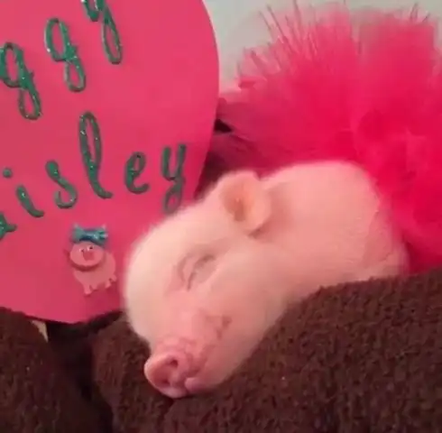  情侣头像已备好男朋友就不帮你找了