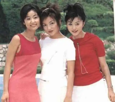 林心如出道20年,从未得过影后桂冠,为何人气依旧居高不下
