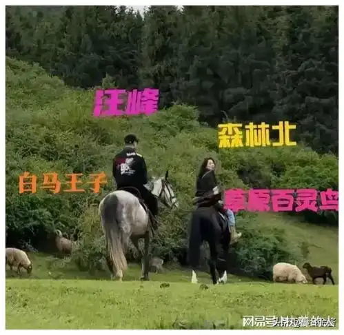  破案了,森林北选择汪峰的原因,终于找到了